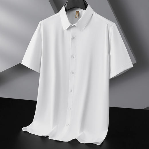 【DG】大依优型大码男装夏季纯色短袖衬衫商务休闲百搭T恤上衣300 商品图3