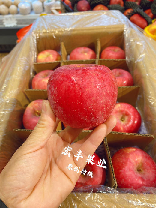 宏丰精选，陕西洛川苹果，口感脆甜，活动价6.8元一斤 商品图7