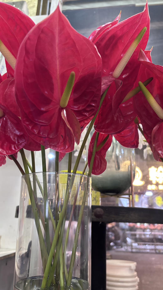 【特价无售后】红掌  单支  受伤者易喷色使用 商品图1