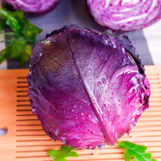 【ZCWJ】  紫甘蓝  新鲜包菜卷心菜生吃沙拉菜紫叶菜蔬菜 商品图0
