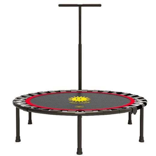 宏太蹦蹦床跳跳床健身器材|蹦蹦跳跳超燃脂，还是儿童长高神器！可折叠收纳不占地！ 商品图5