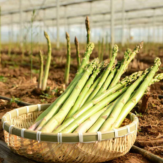 基地直发 | 生态芦笋 | 芦笋姐姐 商品图4