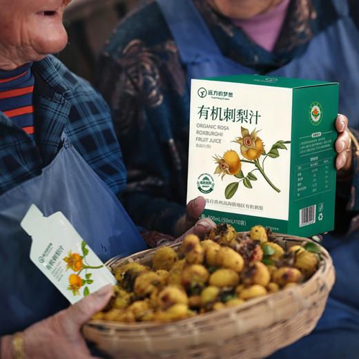 【活动：每拍3减10元！】有机刺梨原液 益生元/纯原汁两款可选有机刺梨原液，富含VC等几百种营养元素，口感清香回甘刺梨原浆 商品图4