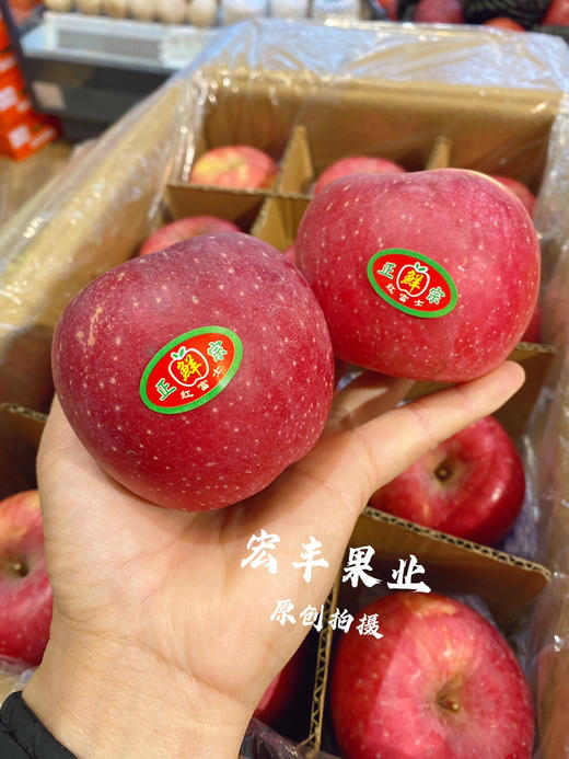 宏丰精选，陕西洛川苹果，口感脆甜，活动价6.8元一斤 商品图5