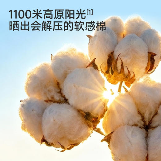 【100%精梳棉】英氏儿童衣服男童夏季百搭短袖圆领T恤纯棉卡通休闲套头衫 商品图1