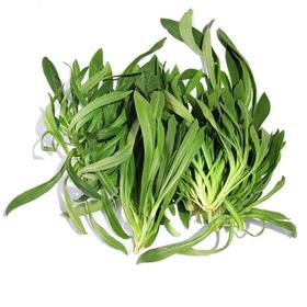 【春菜】面条菜（份）（150±20g）