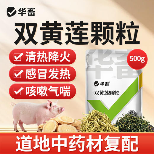 华畜 双黄莲颗粒 清热降火感冒发热咳嗽气喘 商品图2