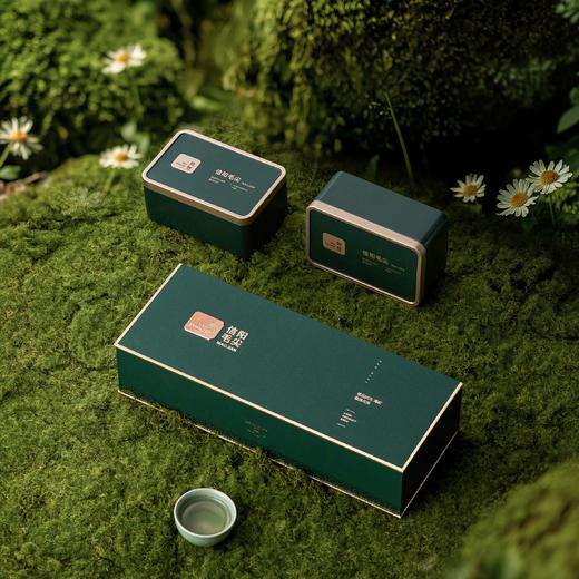 25元一套 / 共19套 无双条盒【信阳毛尖 二合一 深绿色】 商品图3