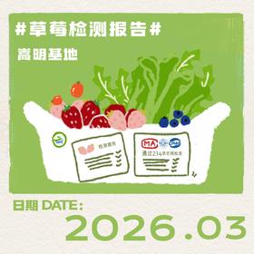 2026年3月-草莓检测报告(嵩明)