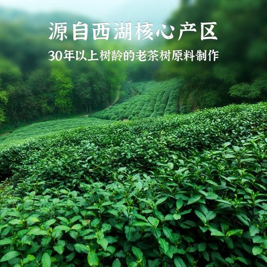 龙冠 老树龙井礼盒装50g*2 商品图4