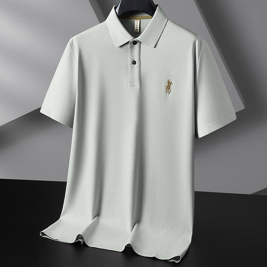 【DG】【新疆棉】大依优型大码男装短袖polo衫男士休闲宽松短恤上衣300 商品图1