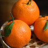 阿斯蜜明日见柑橘 净重4.5-8斤 精选中大果彩箱装 商品缩略图2