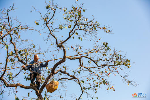 鄂赣秋境5/9天摄影团：大别山红叶 + 庐山秋韵 + 武汉夜景  + 鄱阳湖秘境 商品图1