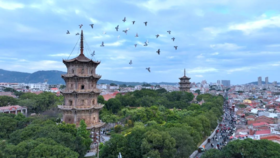 【清明】<福建泉州动车3日游>2-16人小团，梧林传统村落、永宁古卫城、洛伽寺、 石狮黄金海岸、蟳埔村、开元寺、西街观景平台、小西埕、西街、非遗博物馆