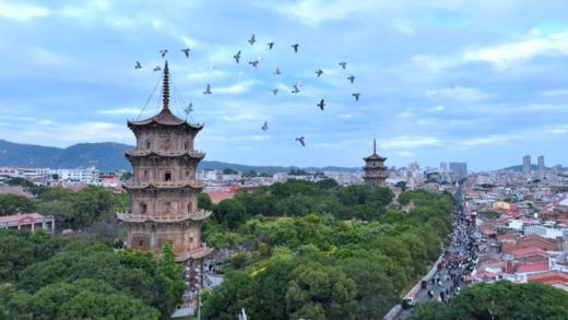 【清明】<福建泉州动车3日游>2-16人小团，梧林传统村落、永宁古卫城、洛伽寺、 石狮黄金海岸、蟳埔村、开元寺、西街观景平台、小西埕、西街、非遗博物馆 商品图0