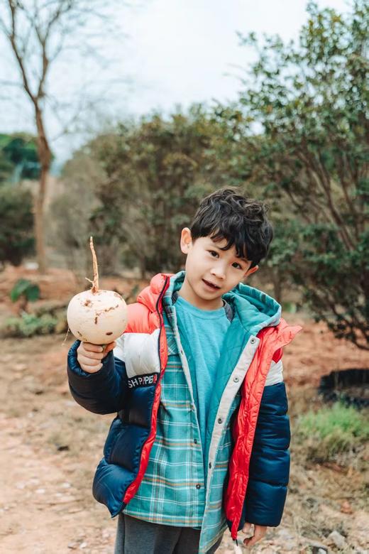 3.15（日）【 邛崃桑园镇】上春山： 挖野菜、挖折耳根、捡土鸡蛋、磨豆浆、拔萝卜、吃农家餐、竹筒饭 商品图9