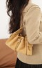 香奈儿26c系列25bag mini麂皮 杏色 商品缩略图4