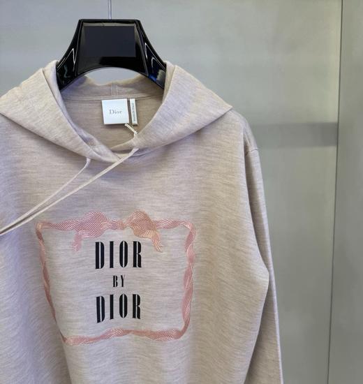 女款刺绣连帽卫衣zh010 商品图2