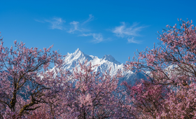 一起去西藏林芝，看桃花 |  6日行程
