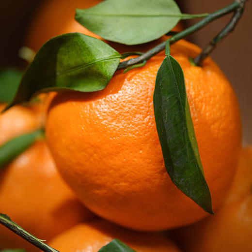 阿斯蜜明日见柑橘 净重4.5-8斤 精选中大果彩箱装 商品图1