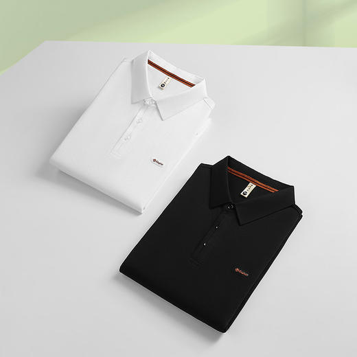 【DG】大依优型大码男装夏季短袖polo衫加肥加大棉麻商务休闲短恤上衣 商品图3