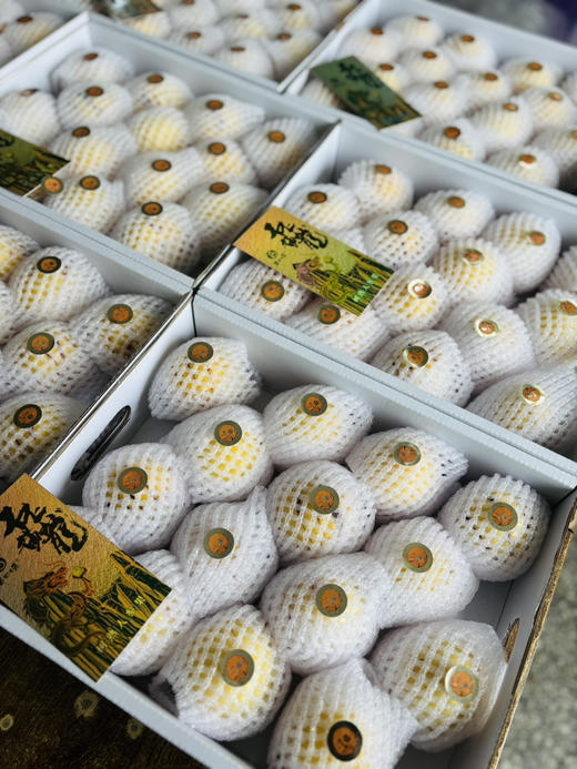 2026年树上熟人参果特级果，水份足，一口爆汁，甜甜爽爽的口感～ 商品图8