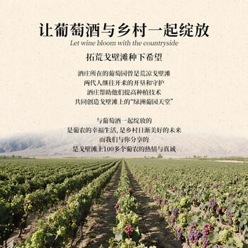 类人首【酒庄直供】宁夏红酒老藤黑标西拉橡木桶干红葡萄酒整箱750ml*6 商品图4