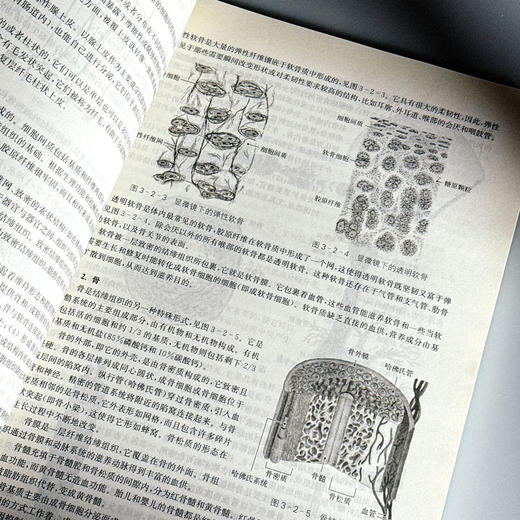 言语科学基础 言语科学发展历史与现状 声学基础知识 商品图11