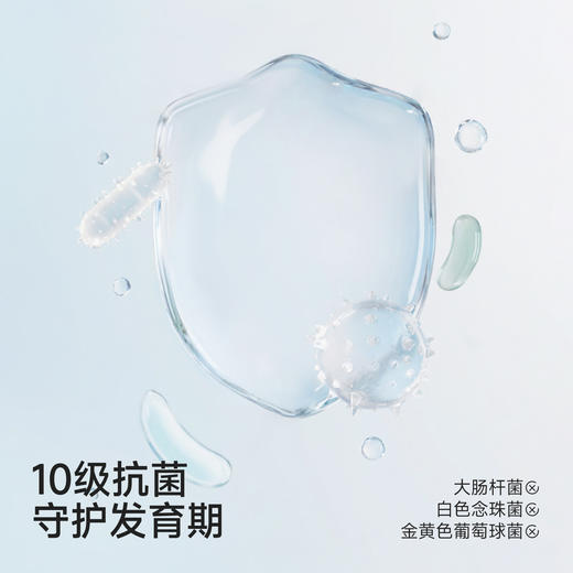 英氏少女内衣四季款女童二阶段发育内衣10A抗菌青少年文胸新款 商品图1