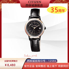 西铁城日本官方正品光动能多局电波休闲防水皮带女表EC1144-26E