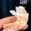 【顺丰冷链】顶级黑虎虾 16/20头 活虾极速锁鲜速冻 肉质紧实饱满 口感劲道 富含虾青素 - AYLJ 商品缩略图5