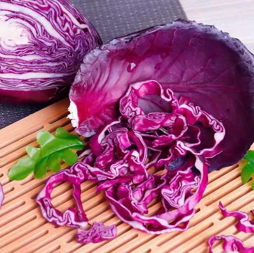 【ZCWJ】  紫甘蓝  新鲜包菜卷心菜生吃沙拉菜紫叶菜蔬菜 商品图2