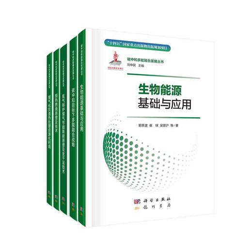 【全5册】碳中和多能融合发展丛书 商品图0