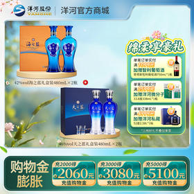 【组合装】42度海之蓝礼盒装480mLx2瓶＋46度天之蓝礼盒装480mLx2瓶