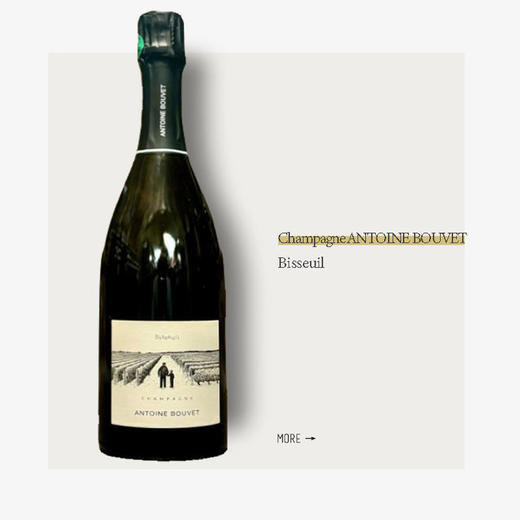 Champagne Antoine Bouvet Bisseuil香槟安东尼布维特酒庄比索伊起泡葡萄酒 商品图0
