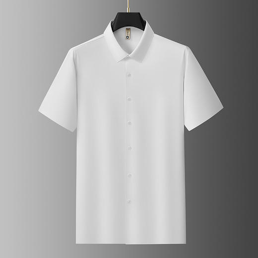 【DG】【莱赛尔棉】大依优型大码男装夏季亚麻纯色衬衫短袖商务休闲T恤 商品图2