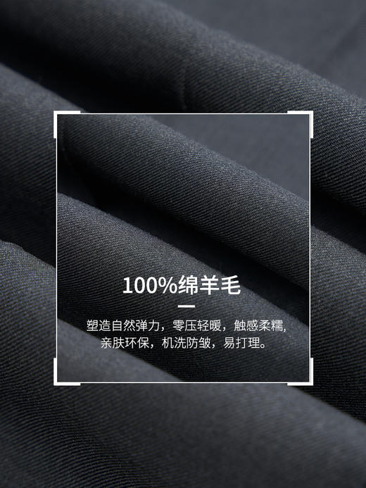 【转仓下架】【大师金标】100%绵羊毛免腰带高档西裤247Z0S815N 商品图5