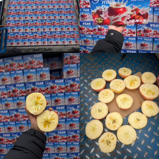 🍎新疆羊奶苹果 大果 口感好 果味浓郁 推荐尝33/件（净果5斤）溏心70% 商品图2