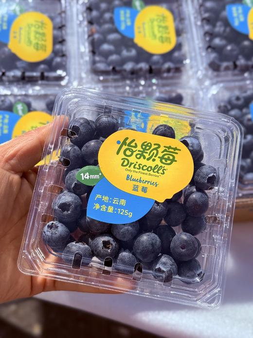 云南怡颗梅14+蓝莓 商品图0
