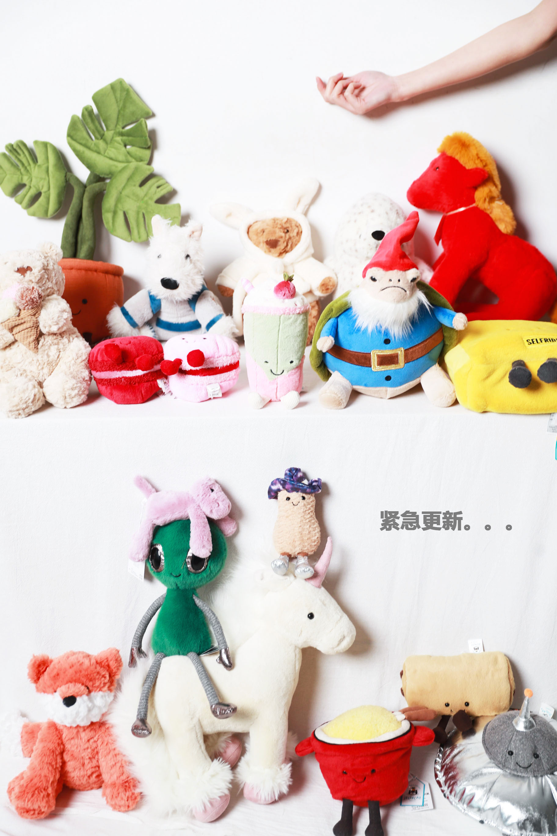 紧急更新！！限定玩偶大合集。可爱毛绒玩具安抚娃娃礼物E012588
