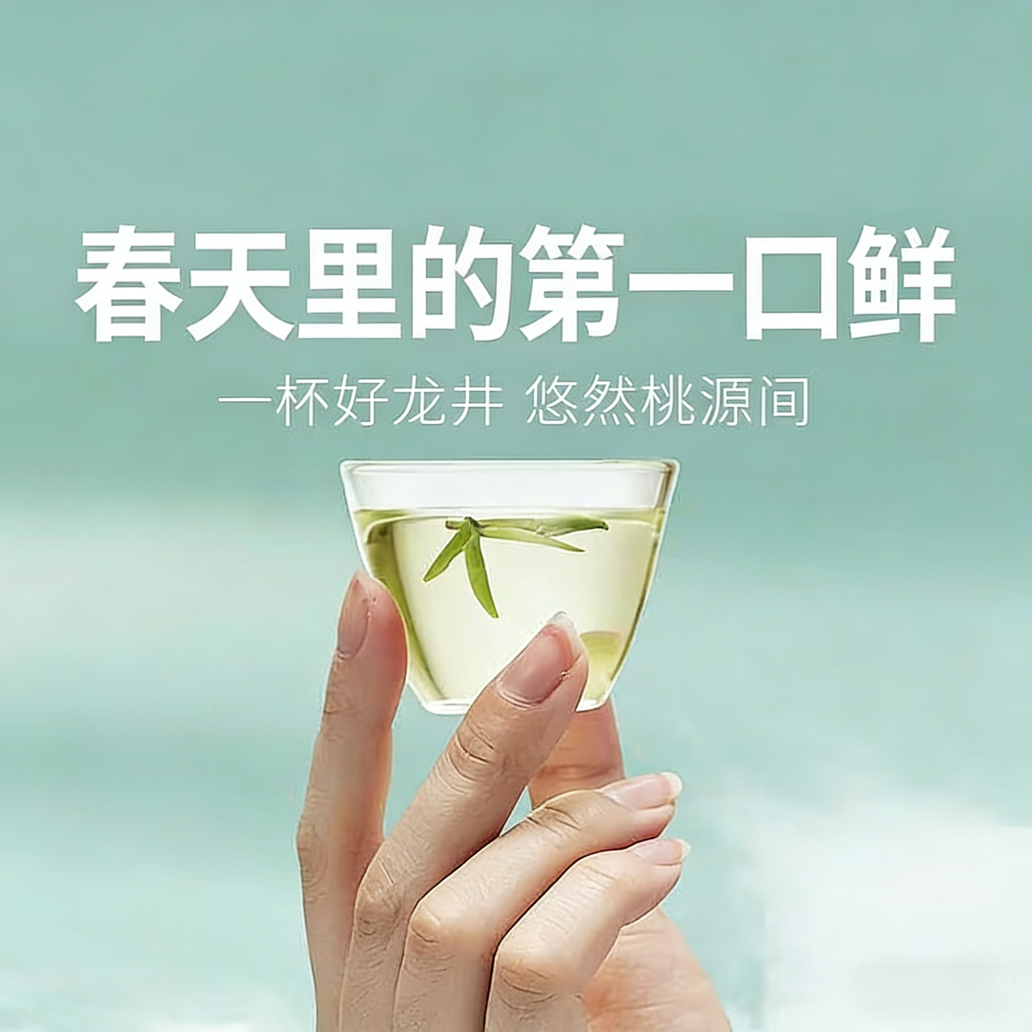【明前龙井茶】尝鲜！开春头采嫩芽，鲜爽十足。一杯好龙井，悠然桃源间。