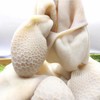 【ZCWJ】  熟羊肚 熟食 香而不膻 美味 商品缩略图1