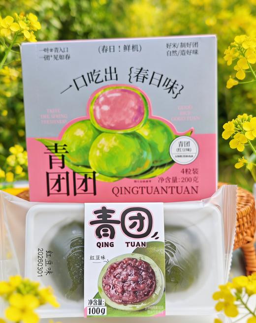 春日限定 | 盒装青团（四粒精美盒装 春天的气息 创新馅料) 200克/盒 60盒/箱 保质期45天 商品图1