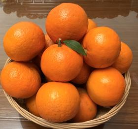 丨有机丨喀斯特沃柑 口感醇厚香甜，喉韵清爽