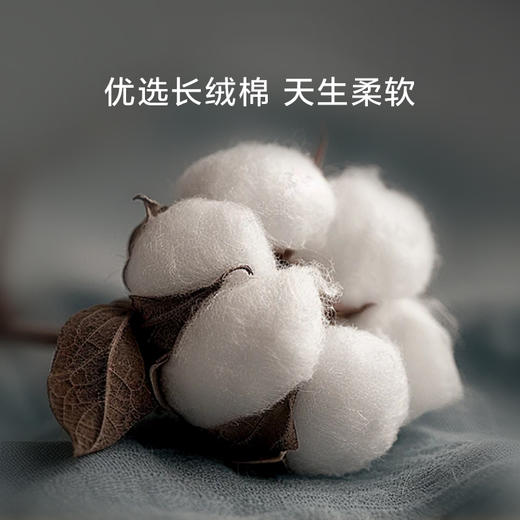 罗莱智家溶溶月落高支新疆棉贡缎套（WDY0271-4） 商品图1