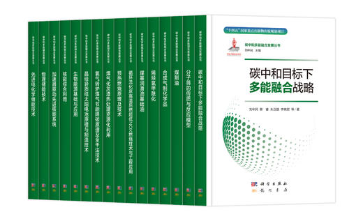 【全16册】碳中和多能融合发展丛书 商品图0