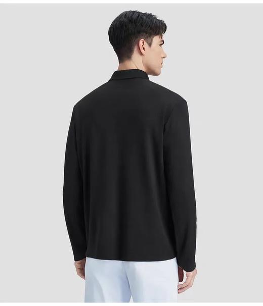 点此购买 迪桑特春秋季男士经典款长袖Polo衫 kad 341721 商品图8