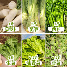 春季丰产生态蔬菜包（农场直发-顺丰包邮）| 白萝卜+莴笋+西芹+生菜+油麦菜+香菜5斤装，来自成都郫都区【原乡农场，自产自销】