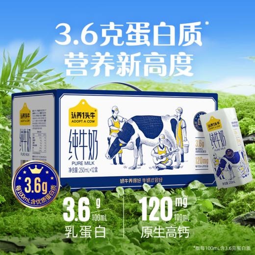 认养一头牛 3.6g纯牛奶 250ml*12 一提装/两题装 商品图0