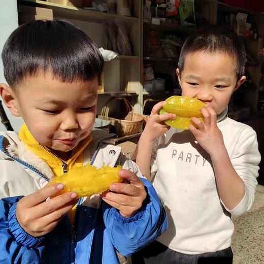 有机香蜜杨桃 商品图5